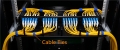 Cable Management Accessories in Network