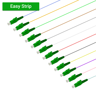 LC/APC 12 Fiber Pigtail|Single Mode G657.A2|0.9mm