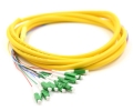 LC-APC Jacketed 12Pk SM Yellow Jacketed Fiber Pigtails, 3 Meters