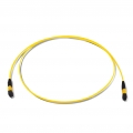MPO/MTP Trunk Cable 12 Core