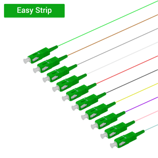 SC/APC 12 Fiber Pigtail|Single Mode G657.A2|0.9mm