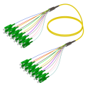 SC/APC-SC/APC|12 Fibers Fanout|Single Mode G657.A2|3.0/0.9mm
