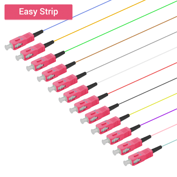 SC/UPC 12 Fiber Pigtail|Multi Mode G651.OM4|0.9mm