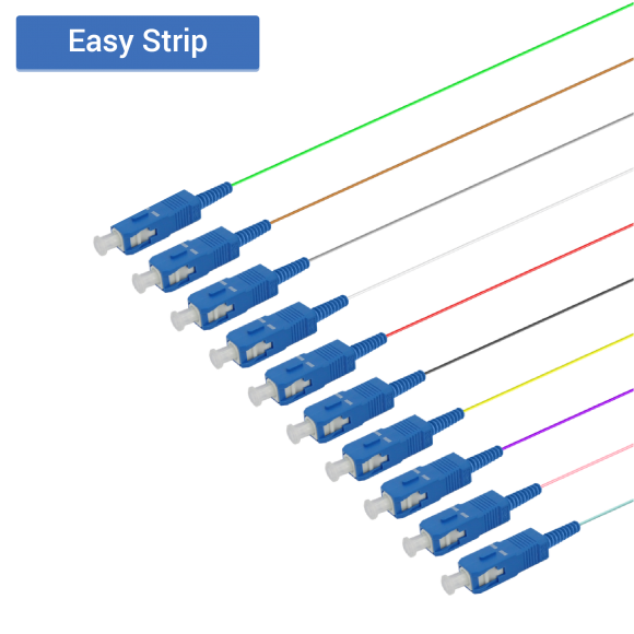 SC/UPC 12 Fiber Pigtail|Single Mode G657.A2|0.9mm
