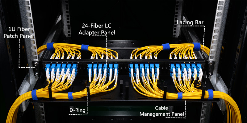 horizontal D-ring