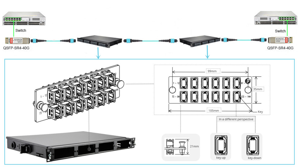 40G to 40G cabling