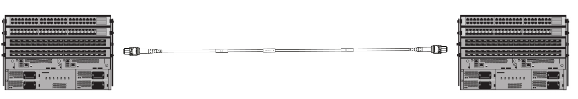 24f MTP trunk cable in 100G connection