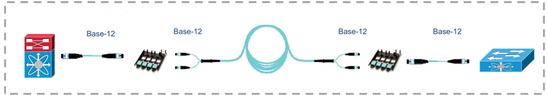 no conversion solution, the whole link uses base-12 mtp cables