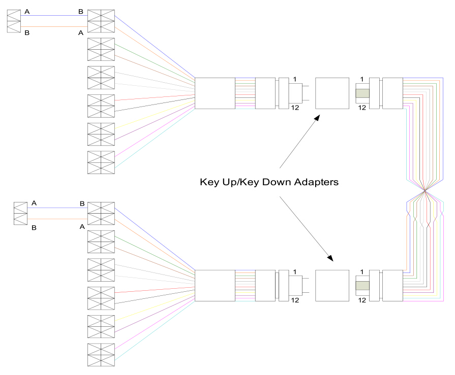 Method C polarity